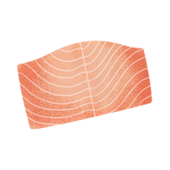 uncooked salmon filet